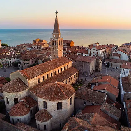 Apartment Functional With A Spacious Fenced Garden *